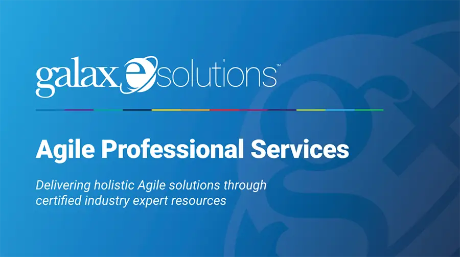 Agile Professional Services